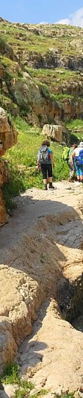 Wandere durch den grünen Wadi Qelt